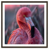 Pink Flamingo Bird Close Up Portrait thumbnail
