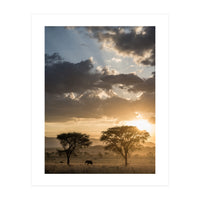 Sunset with an Elephant (Print Only)