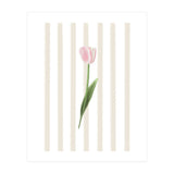 Single Tulip (Print Only) thumbnail