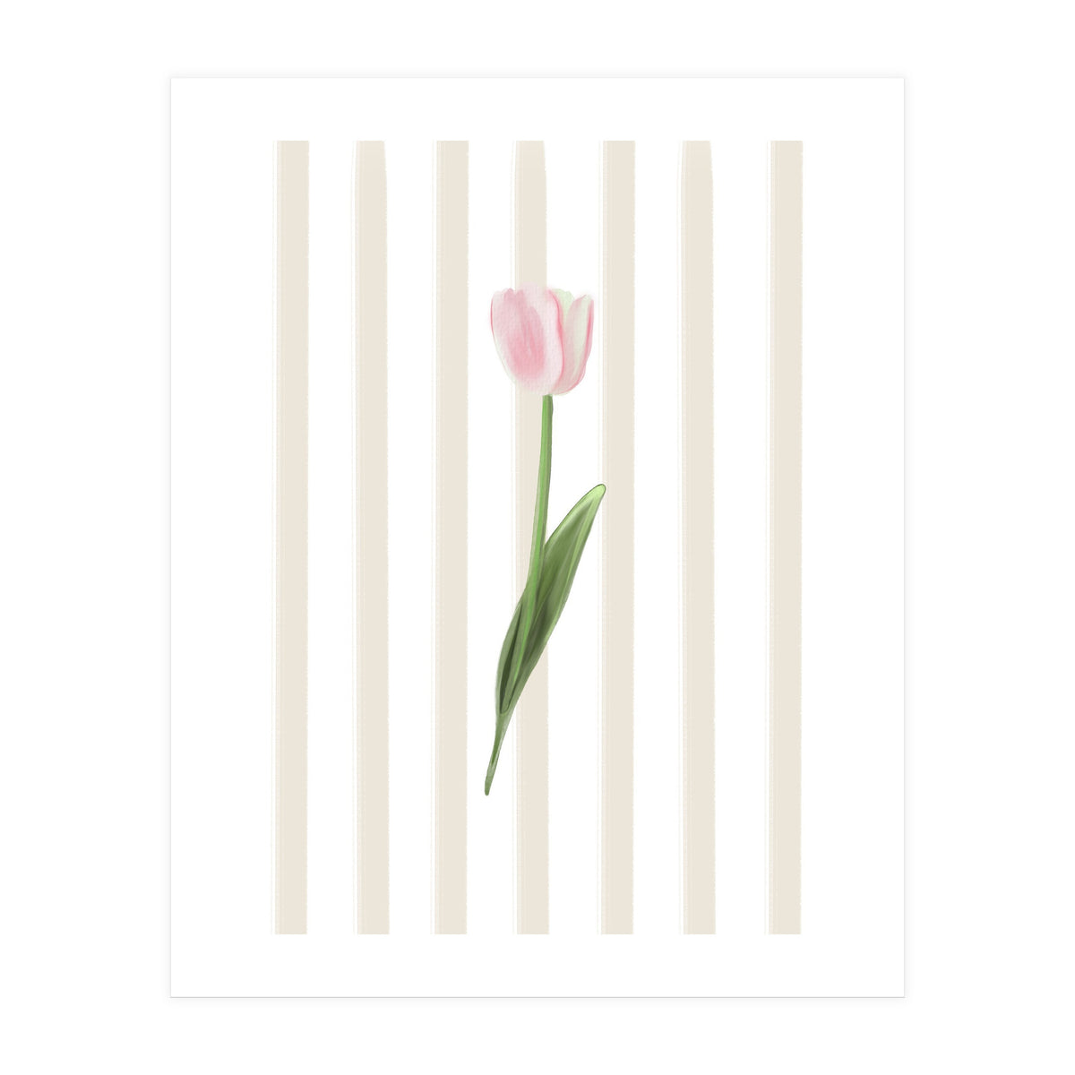 Single Tulip (Print Only)