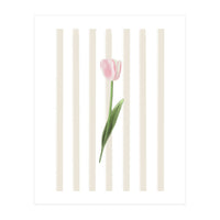 Single Tulip (Print Only)