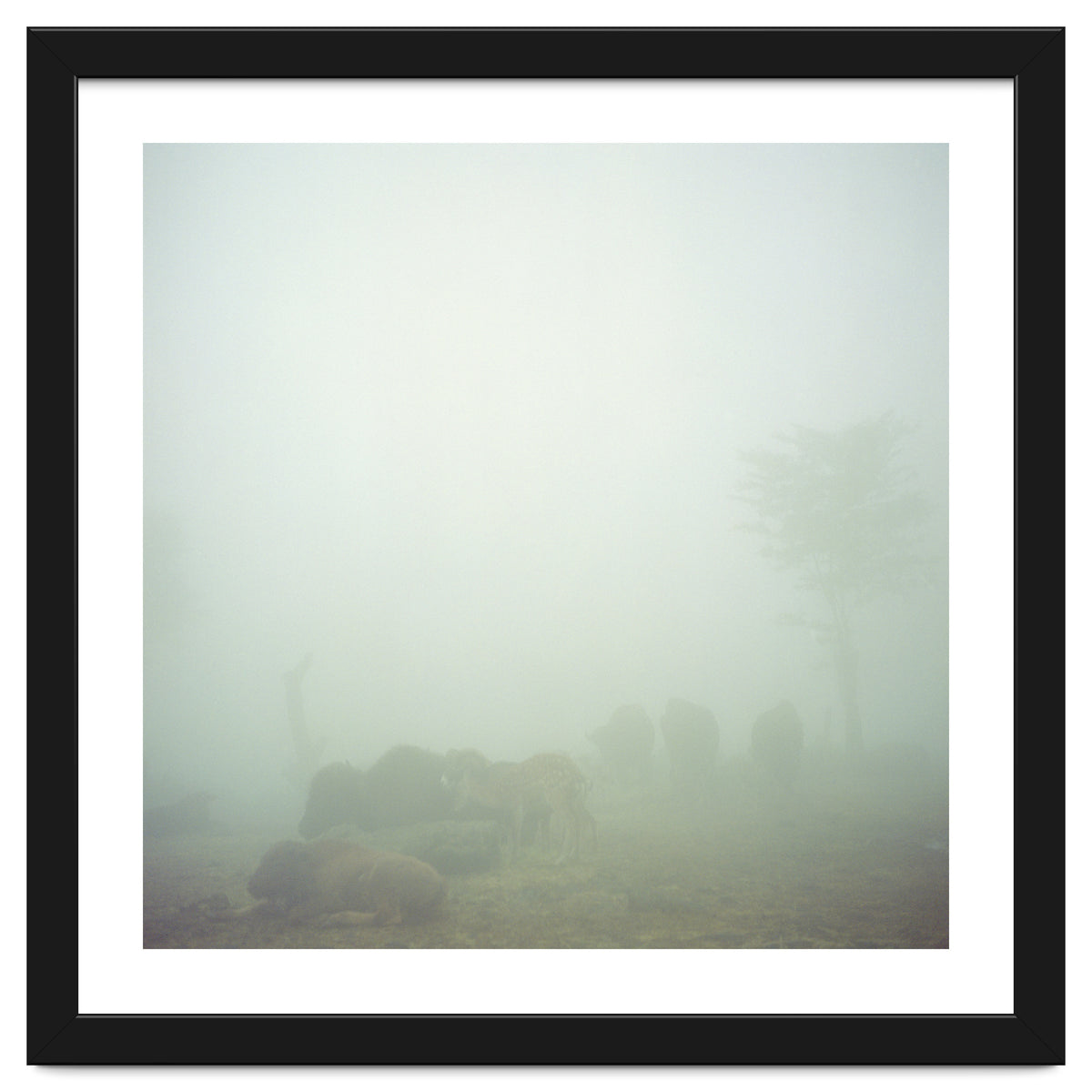 Silence of breath - 03