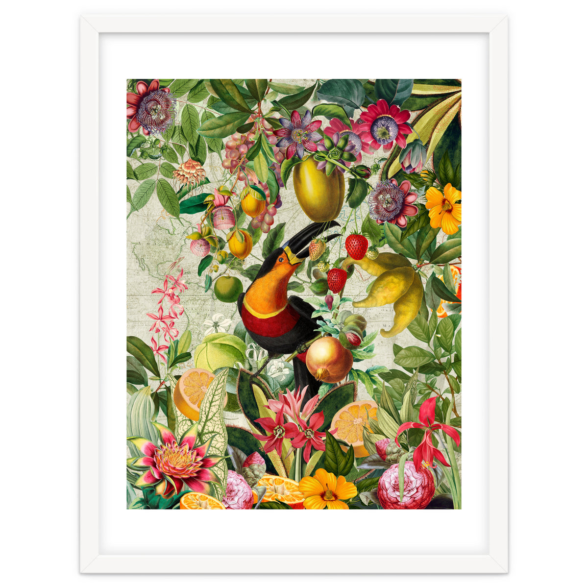Toucan vintage jungle 1