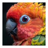 Close Up Sun Conure Parrot Eye Feathers  (Print Only) thumbnail