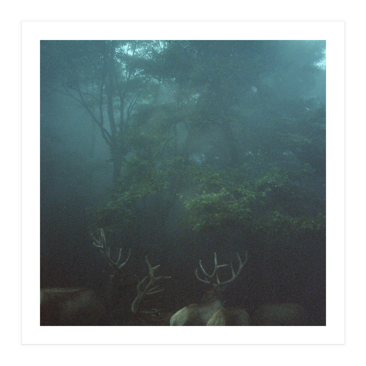 Silence of breath - 12 (Print Only)