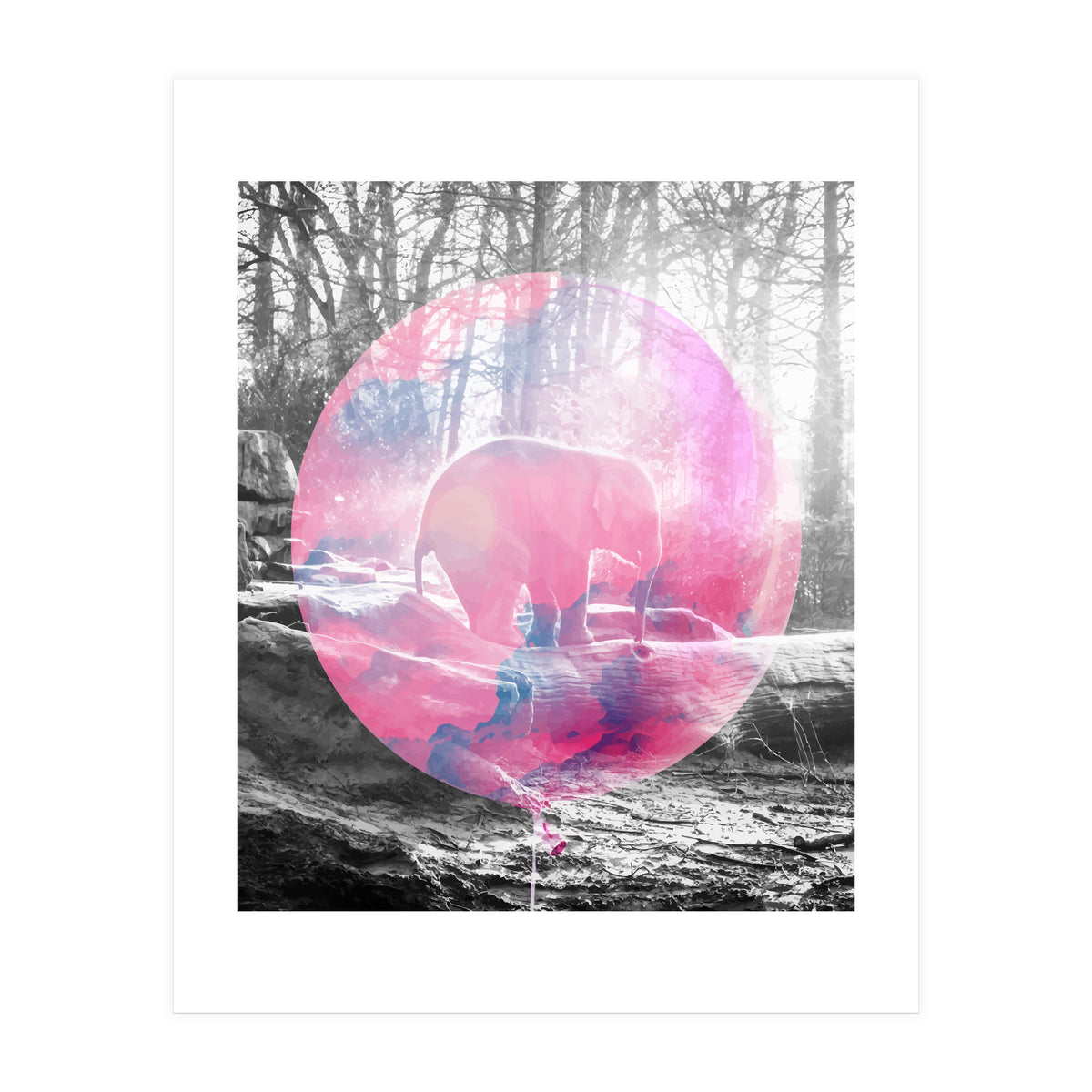 Baby Elephant In A Balloon (Print Only)