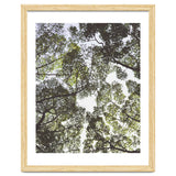Mother Nature thumbnail