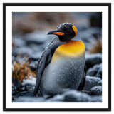 King Penguin In Snow With Water Droplets thumbnail