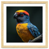 Close Up Colorful Parrot Perched On A Branch thumbnail