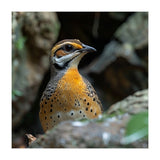 Colorful Bird Perched Among Rocks And Foliage (Print Only) thumbnail