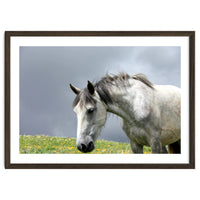 White Horse