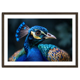 Peacock Head Close Up Majestic Blue Bird thumbnail