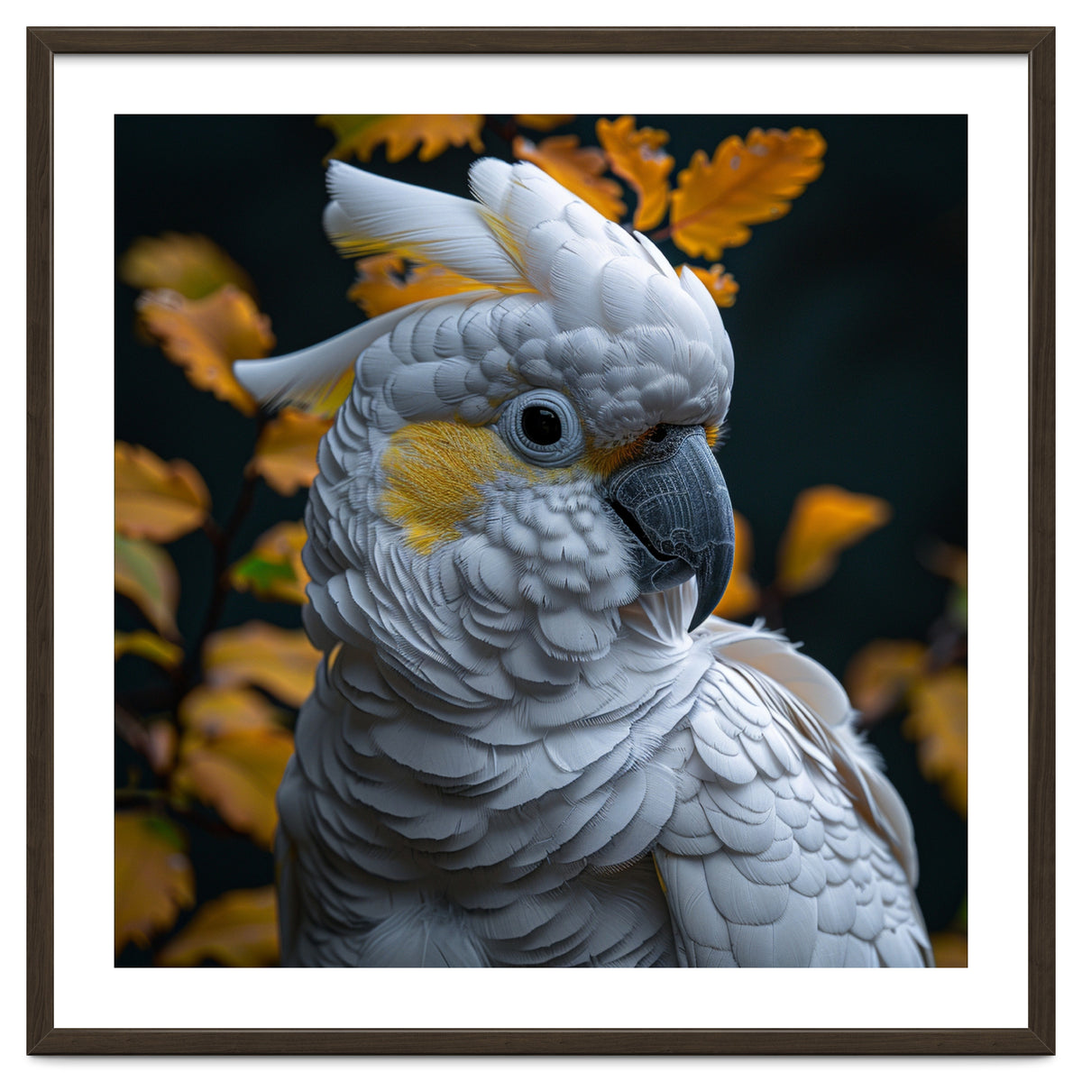 Yellow Crested Cockatoo Portrait Autumn Leaves Dark