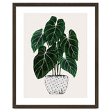 Philodendron Plant thumbnail