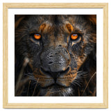 Majestic Lion Face Intense Orange Eyes Close Up thumbnail