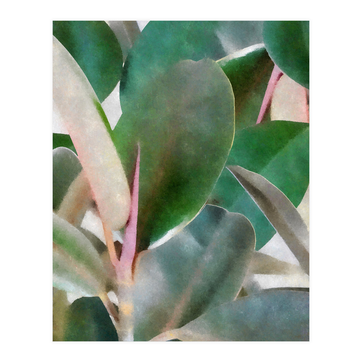 Preconceived Purity (Print Only)