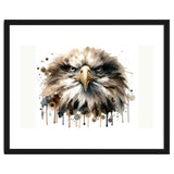 Fierce Bald Eagle Portrait thumbnail