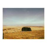 Dartmoor 2018 (Print Only) thumbnail
