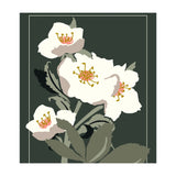 Flower Market London Hellebore (Print Only) thumbnail