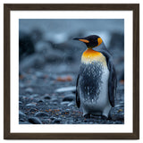 King Penguin Standing In The Rain thumbnail