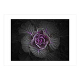 Backyard Flowers No 108 Color Version (Print Only) thumbnail