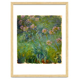 Claude Monet (1840-1926). Agapanthus. thumbnail