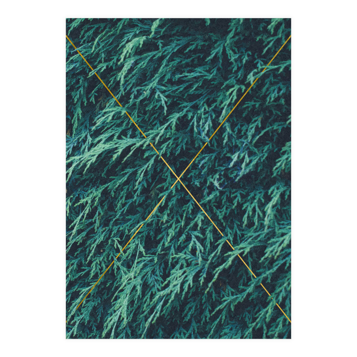 Restricted Reality (Print Only)