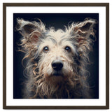 Old Dog 07 thumbnail
