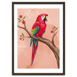 Red Macaw Parrot Bird Forest thumbnail