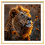 Majestic Lion In A Field Of Sunflowers thumbnail