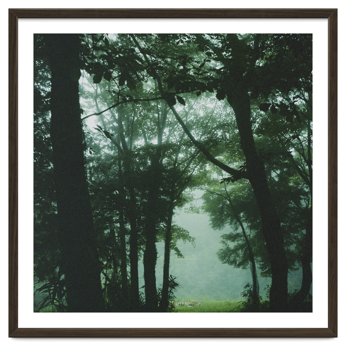 Silence of breath - 13