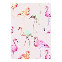 Flamingo Formation (Print Only)