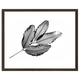 Branches and Leaves, 2016, 1 thumbnail