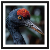 Black Crane Bird Head With Red Crown And Raindrops thumbnail