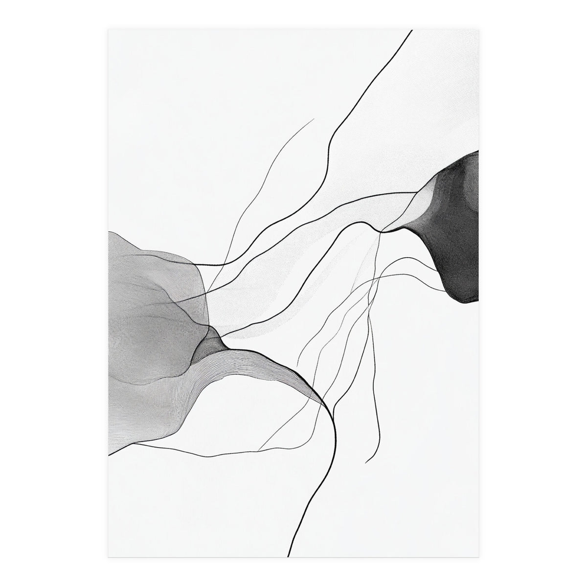 Abstract Black And White Flowing Lines And Shapes On White Background (Print Only)