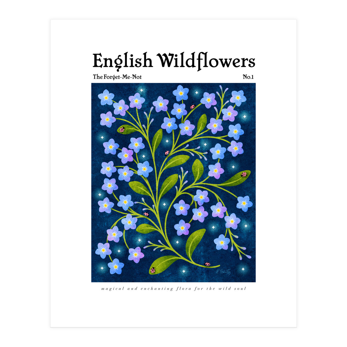 English Wildflowers | Forget-Me-Not (Print Only)