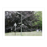 Signs at the corner of the street (Print Only) thumbnail