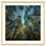 Enchanted Night Forest with Glowing Fireflies thumbnail