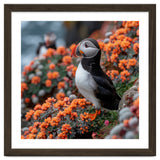 Atlantic Puffin Bird Perched On Orange Flowers thumbnail