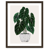 Philodendron Plant thumbnail