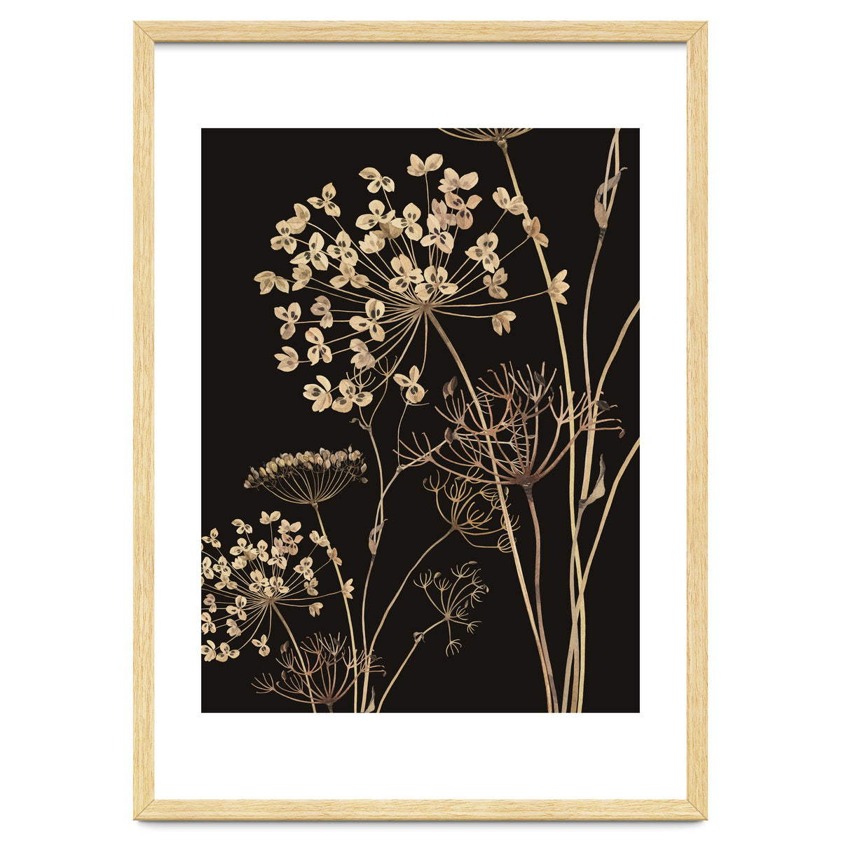 Wildflowers I
