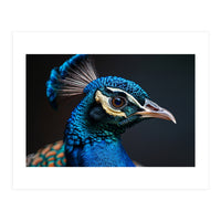 Close Up Peacock Head Blue Green Feather  (Print Only)