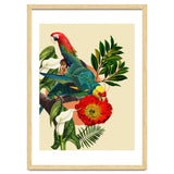Birds Life thumbnail