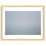 Flying seagulls in the winter sky thumbnail