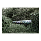 Graffiti pipe among the summer forest (Print Only) thumbnail