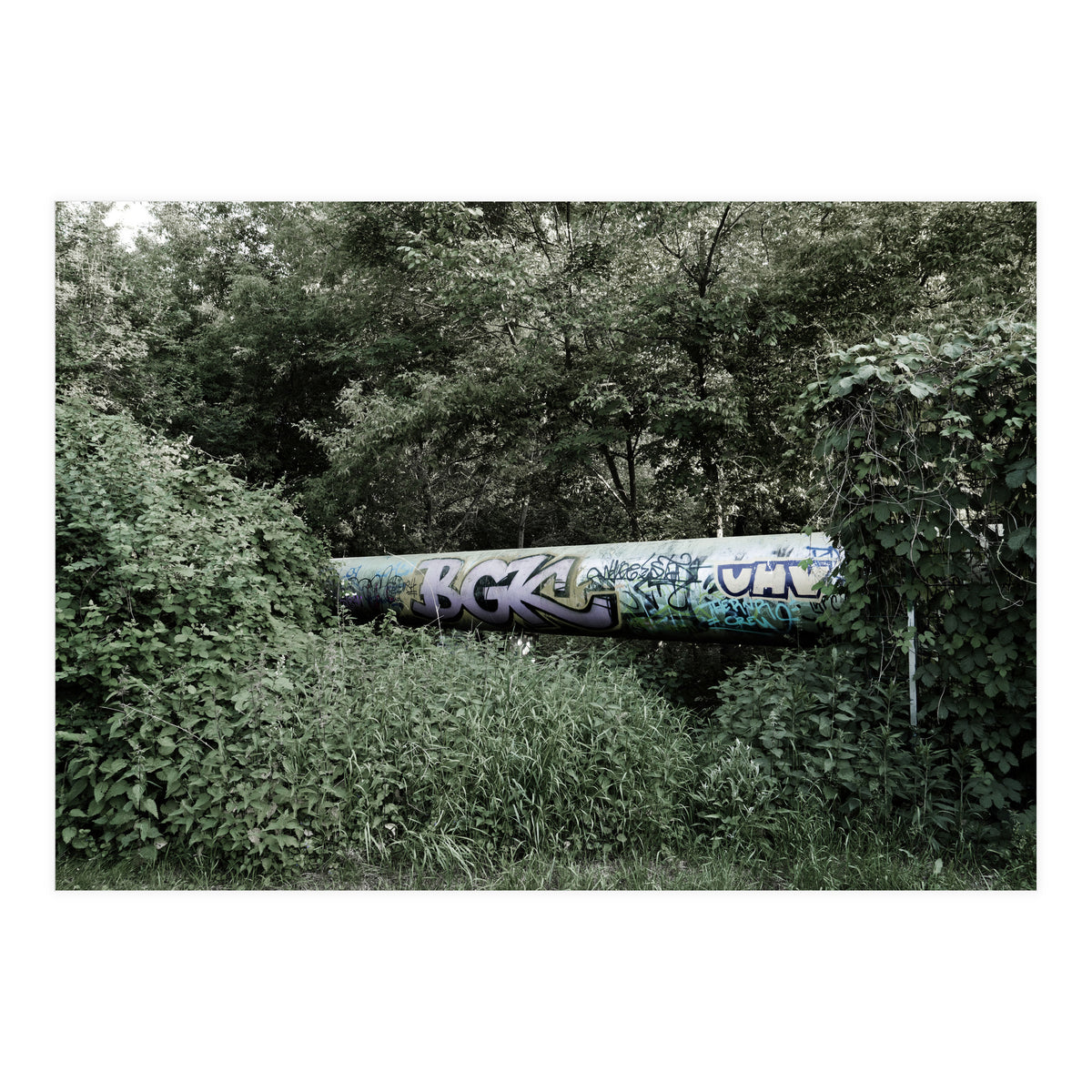 Graffiti pipe among the summer forest (Print Only)