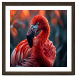Vibrant Flamingo Close Up Portrait Outdoor Nature thumbnail