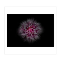 Backyard Flowers No 116 Color Flow Version (Print Only)