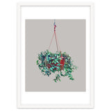 Hanging Plant thumbnail