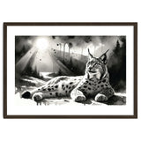 Lynx Resting In Sunlight thumbnail